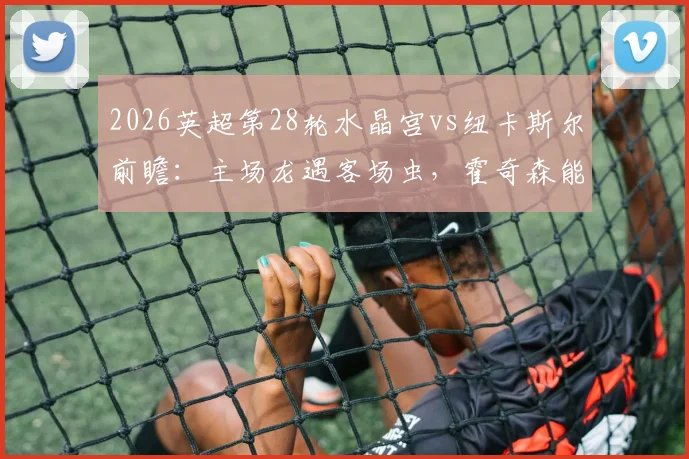 2026英超第28轮水晶宫vs纽卡斯尔前瞻：主场龙遇客场虫，霍奇森能否阻击埃迪·豪抢分保级？