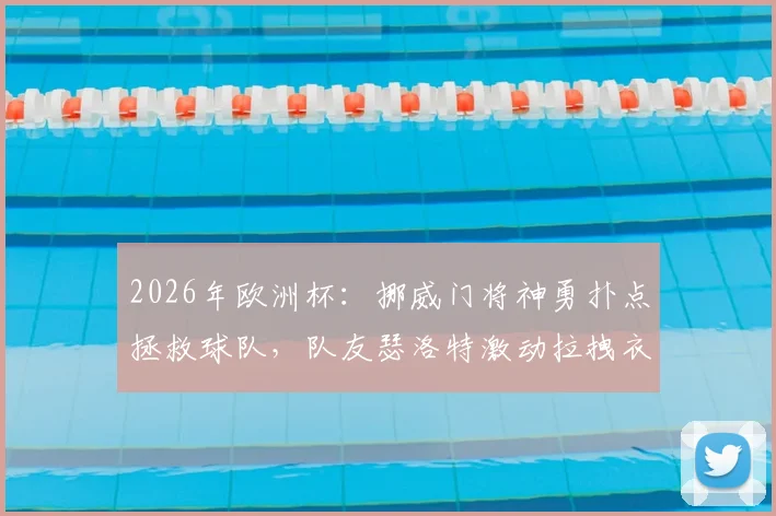 2026年欧洲杯：挪威门将神勇扑点拯救球队，队友瑟洛特激动拉拽衣领庆祝瞬间全解析