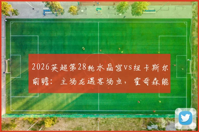 2026英超第28轮水晶宫vs纽卡斯尔前瞻：主场龙遇客场虫，霍奇森能否阻击埃迪·豪抢分保级？